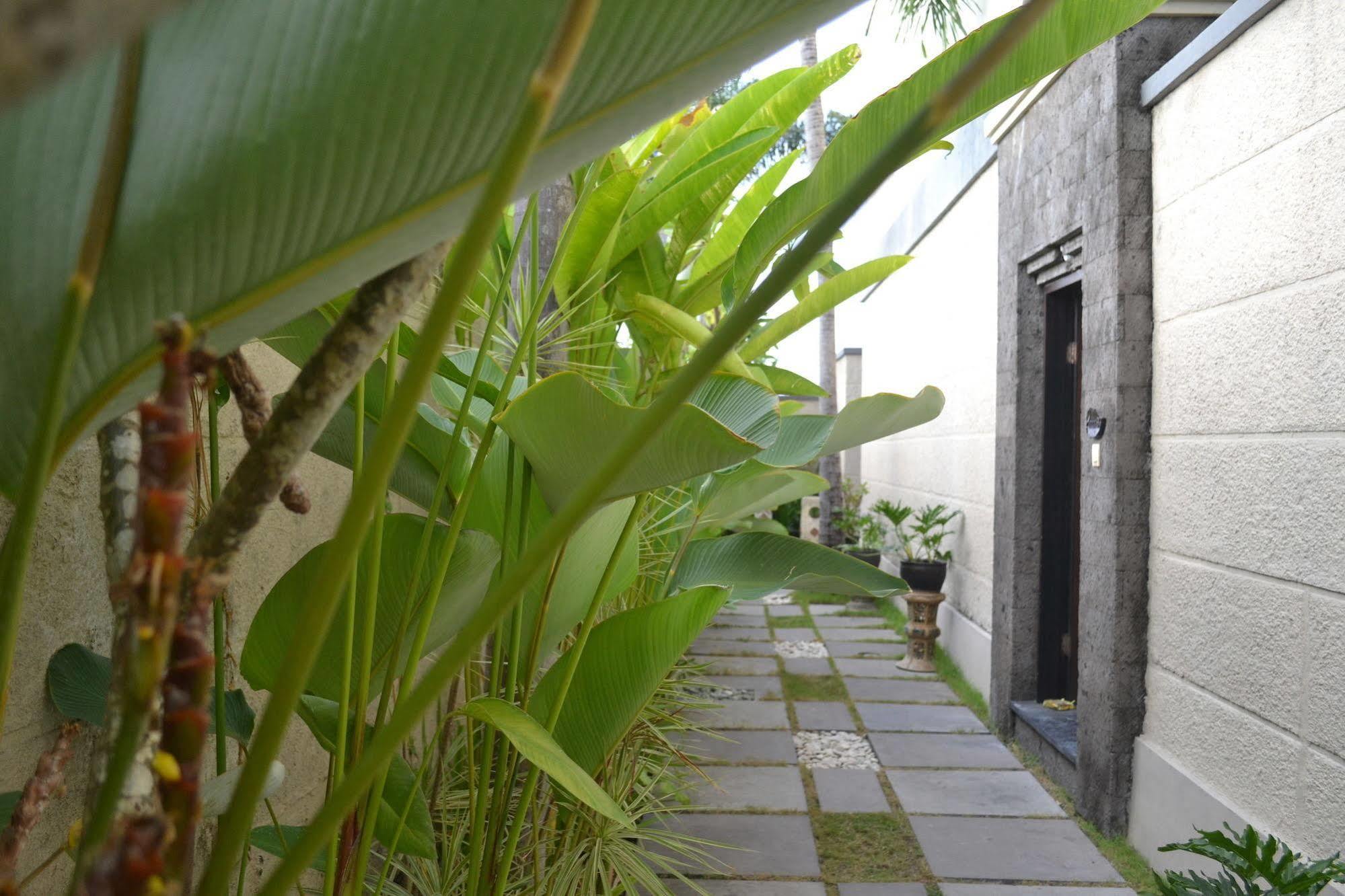 D'Alang Alang Villas Seminyak Eksteriør bilde